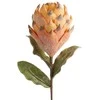 Eurofirany KW/FLORE/793/POM POMA
