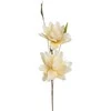 Eurofirany KW/FLORE/796/K K