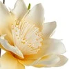 Eurofirany KW/FLORE/796/K K