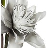 Eurofirany KW/FLORE/796/SRE Sidabrinis+B