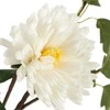 Eurofirany KW/FLORE/799/B B
