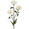 Eurofirany KW/FLORE/799/B B