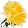Eurofirany KW/FLORE/799/Geltonas Geltonas