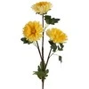 Eurofirany KW/FLORE/799/Geltonas Geltonas
