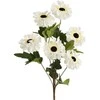 Eurofirany KW/FLORE/800/B B