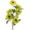 Eurofirany KW/FLORE/800/SEE SOUL