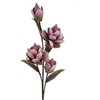 Eurofirany KW/FLORE/801/FIO FIO