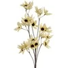 Eurofirany KW/FLORE/803/Geltonas Geltonas