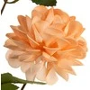 Eurofirany KW/FLORE/805/POM POMA