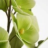 Eurofirany KW/FLORE/806/SEE SOUL