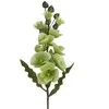 Eurofirany KW/FLORE/806/SEE SOUL