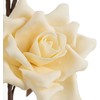 Eurofirany KW/FLORE/807/K K