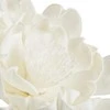 Eurofirany KW/FLORE/816/B B