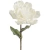 Eurofirany KW/FLORE/816/B B