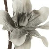 Eurofirany KW/FLORE/819/SRE Sidabrinis+B