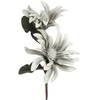 Eurofirany KW/FLORE/820/SRE Sidabrinis
