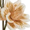 Eurofirany KW/FLORE/822/K K+ZLOT