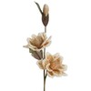 Eurofirany KW/FLORE/822/K K+ZLOT