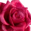 Eurofirany KW/FLORE/823/C.R D.R.O.