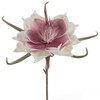 Eurofirany KW/FLORE/824/B B+J.FIOL