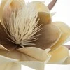 Eurofirany KW/FLORE/824/K K+BROWN