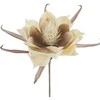 Eurofirany KW/FLORE/824/K K+BROWN