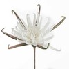 Eurofirany KW/FLORE/827/B B