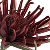 Eurofirany KW/FLORE/827/SAUSAS STALAS