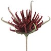 Eurofirany KW/FLORE/827/SAUSAS STALAS