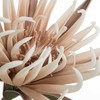 Eurofirany KW/FLORE/827/J.B J.BEIGE