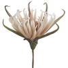 Eurofirany KW/FLORE/827/J.B J.BEIGE