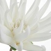 Eurofirany KW/FLORE/830/B B