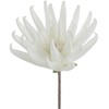 Eurofirany KW/FLORE/830/B B