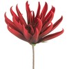 Eurofirany KW/FLORE/830/CZE CZER