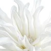 Eurofirany KW/FLORE/833/B B