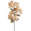 Eurofirany KW/FLORE/834/J.B J.BEIGE