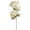 Eurofirany KW/FLORE/834/K K+TARGET