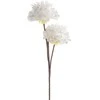 Eurofirany KW/FLORE/835/B B