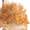 Eurofirany KW/FLORE/835/J.B J.BEIGE