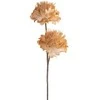 Eurofirany KW/FLORE/835/J.B J.BEIGE