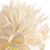 Eurofirany KW/FLORE/835/K K