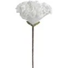 Eurofirany KW/FLORE/836/B B