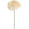 Eurofirany KW/FLORE/836/K K