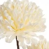Eurofirany KW/FLORE/841/K K