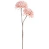 Eurofirany KW/FLORE/841/PUD PUDE