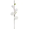 Eurofirany KW/FLORE/842/B B