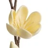 Eurofirany KW/FLORE/842/K K