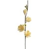 Eurofirany KW/FLORE/842/K K