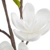 Eurofirany KW/FLORE/843/B B