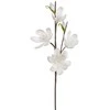 Eurofirany KW/FLORE/843/B B